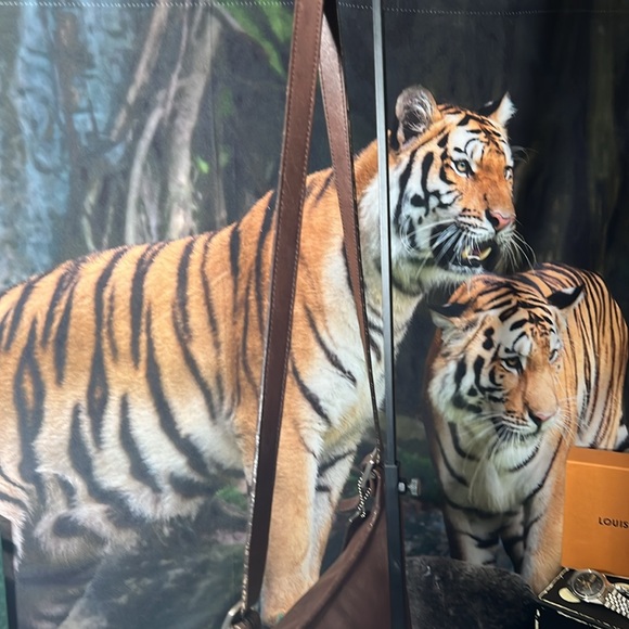 Coach Vintage chocolate brown leather crossbody saddle bag Unisex in GUC - Picture 7 of 17